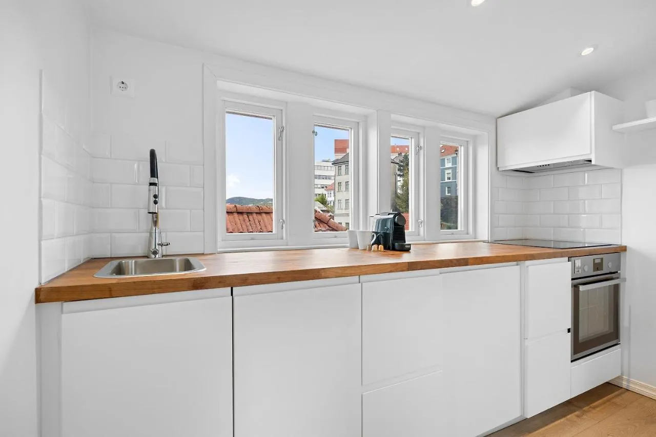 Modern Penthouse With A View - Behind Bryggen Apartment Bergen